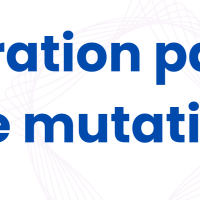 Image "intégration par voie de mutation"